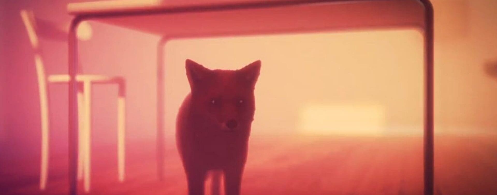 Song / Video of the Day: Wennink - Dissolve