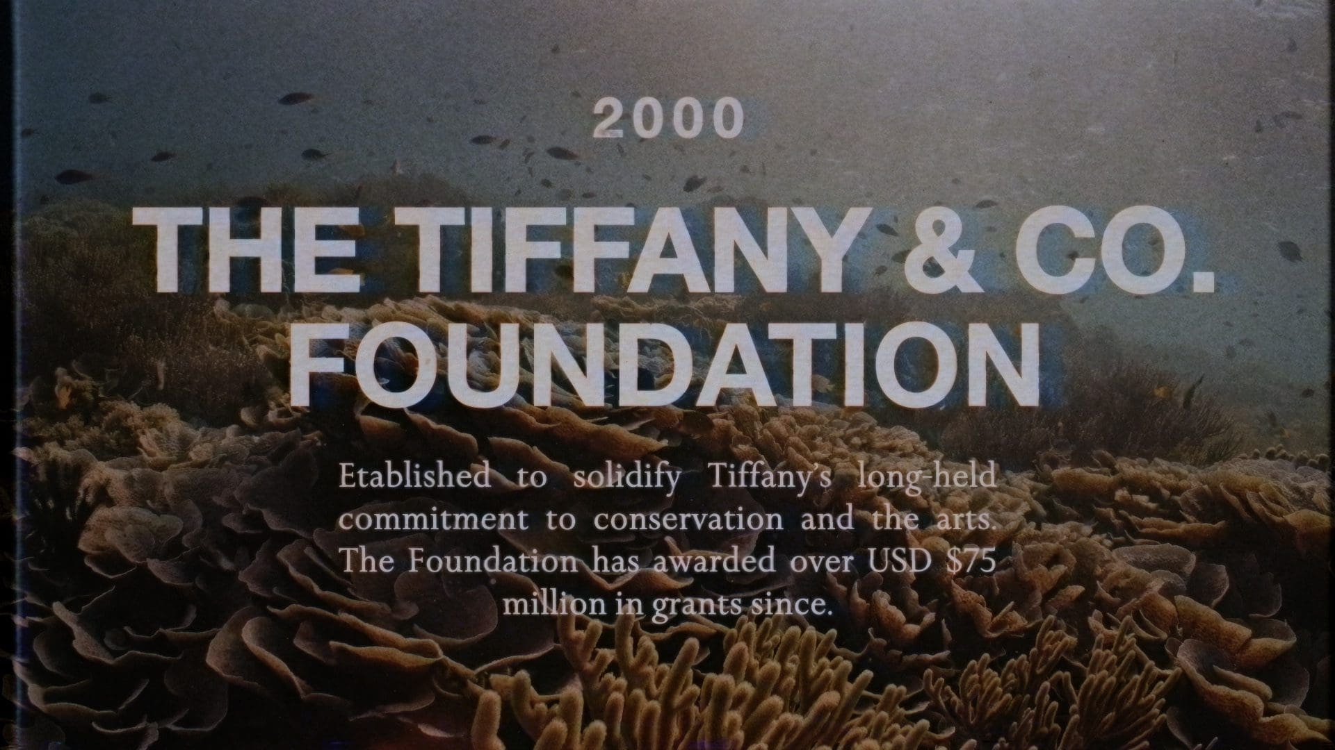 RIOT, NYC Creative Agency: Promotional image for The Tiffany & Co. Foundation, established in 2000, highlighting its commitment to conservation and the arts, with over $75 million in grants awarded, set against a vibrant coral reef background. Promotional image for The Tiffany & Co. Foundation, established in 2000, highlighting its commitment to conservation and the arts, with over $75 million in grants awarded, set against a vibrant coral reef background.