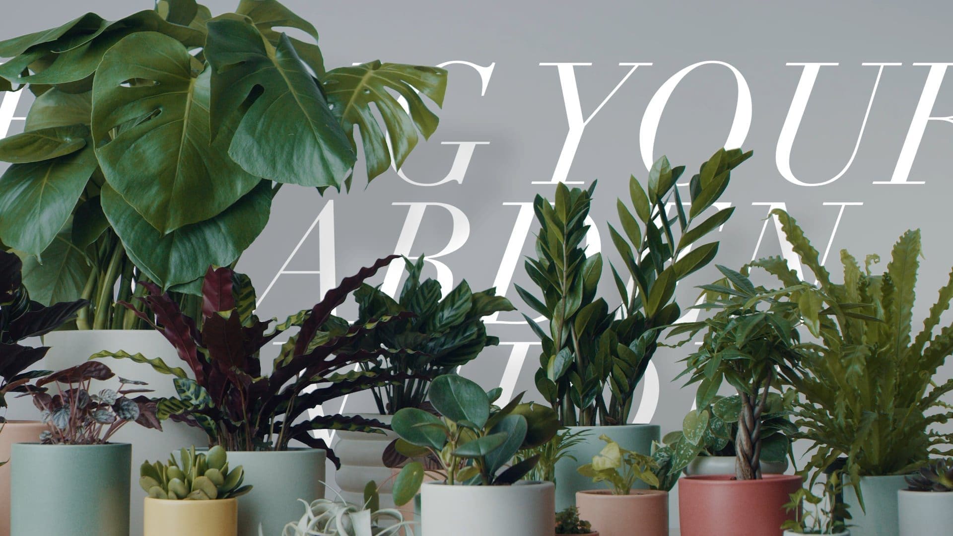 Reside Moments: Bring Your Garden Inside