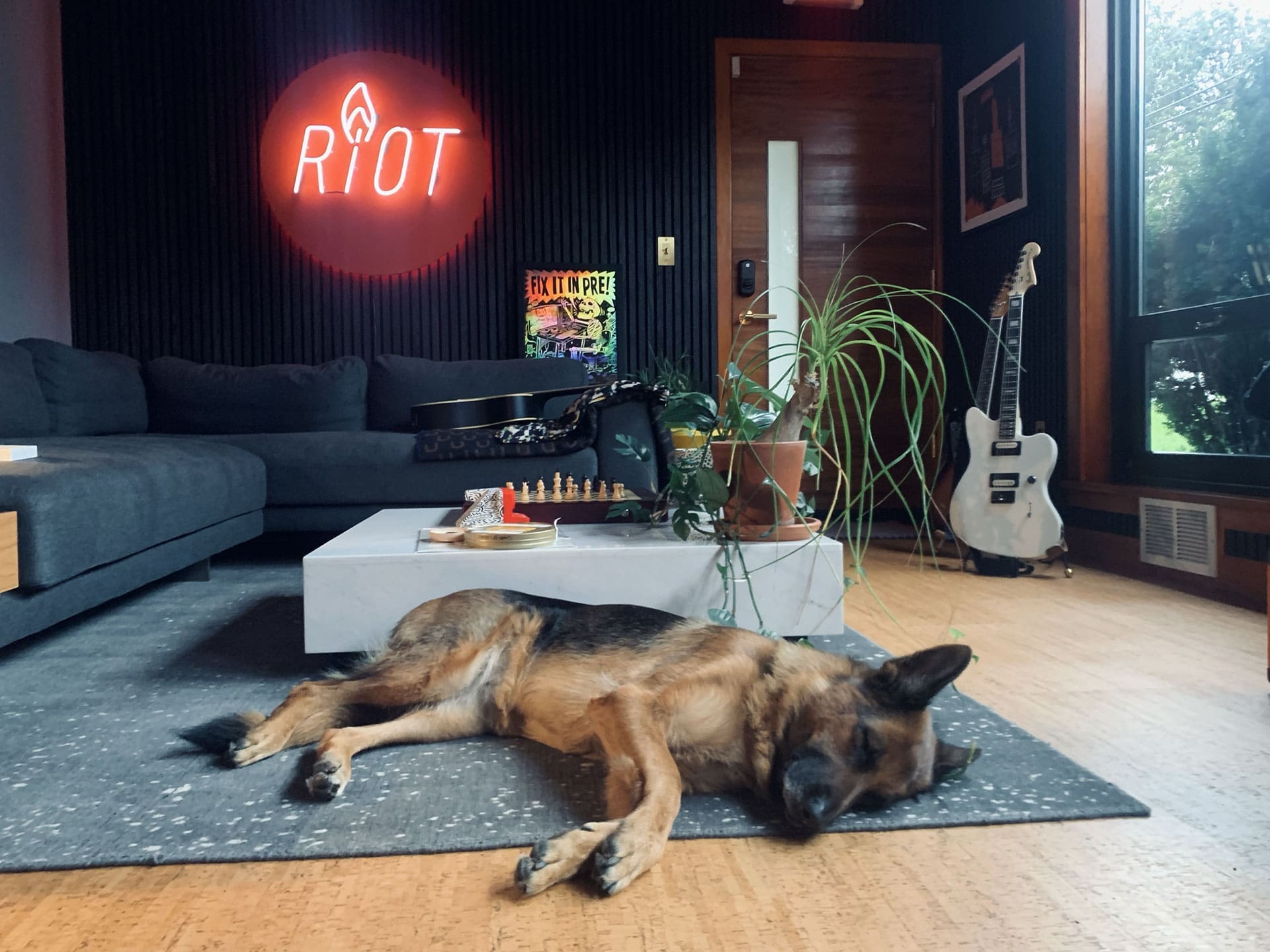 RIOT studio control room featuring our relaxed German Shepherd dog mascot named Goose lying on a rug. The space includes a modern couch, a neon 'RIOT' sign on the wall, a guitar, and various plants, creating a welcoming and creative atmosphere.